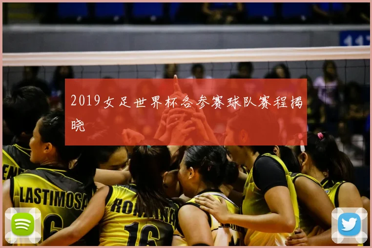 2019女足世界杯各参赛球队赛程揭晓
